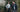 Wedding Dress for Men: From Formal to Casual Wedding Attire